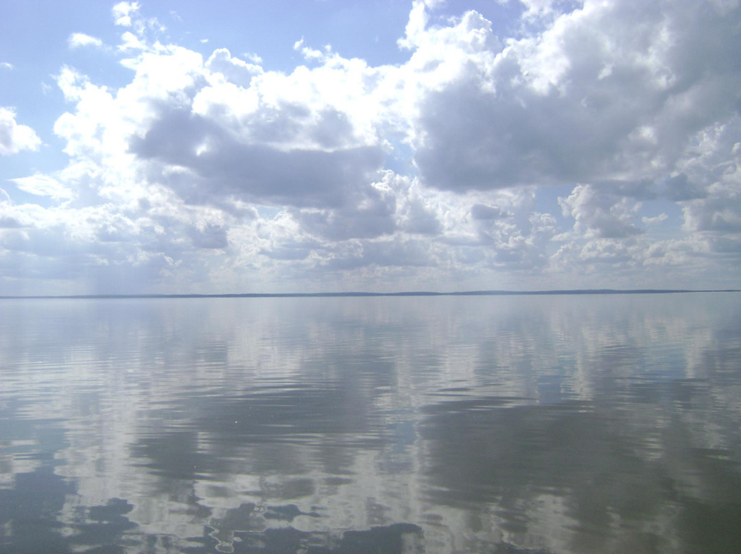 Lake Apopka景点图片