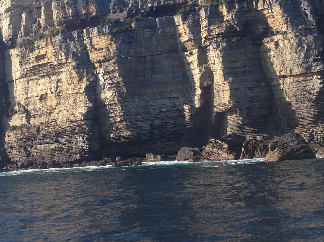 Jervis Bay Eco Adventures-Day Boat Tours-赫斯基森必去景点