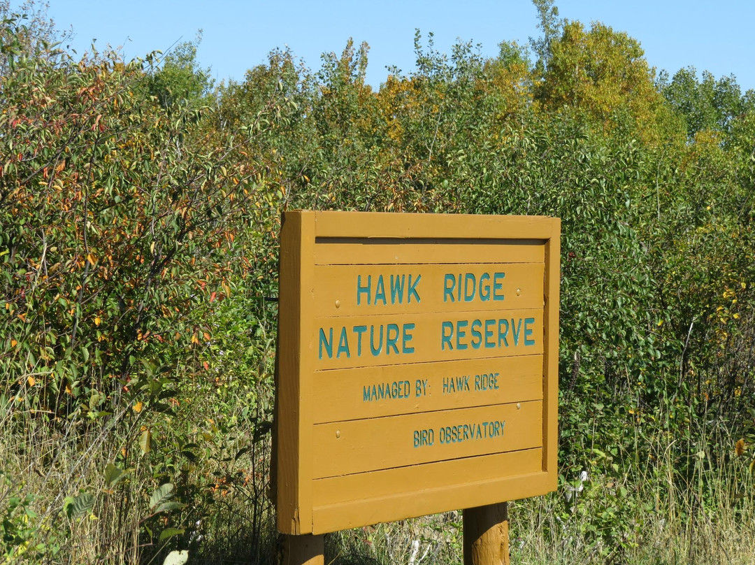 Hawk Ridge Bird Observatory-德卢斯必去景点