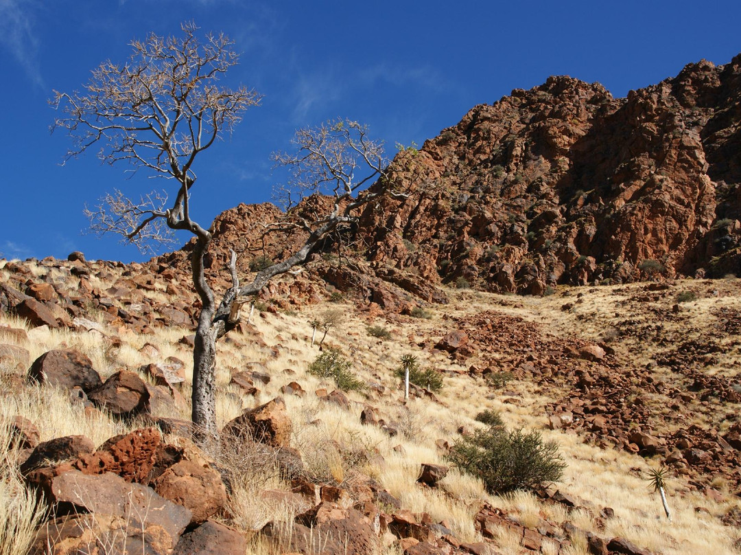 Brukkaros-Central Plateau必去景点