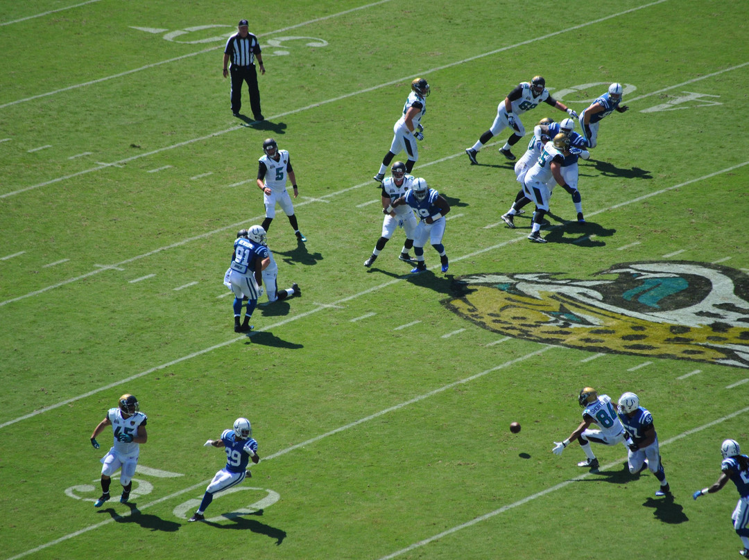 EverBank Stadium-杰克逊维尔必去景点