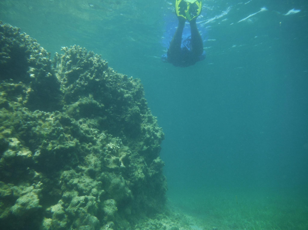 Pirate Snorkeling Shack-法哈多必去景点