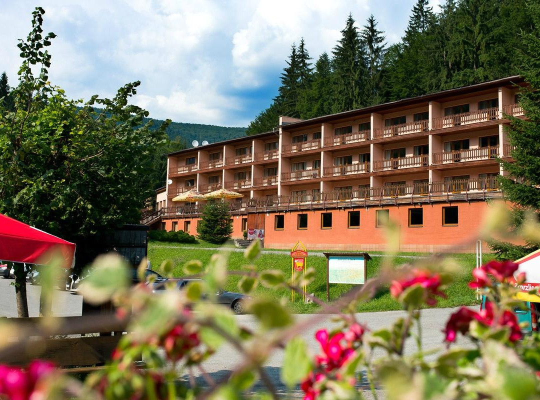 Puchov酒店住宿-Horsky Hotel Podjavornik