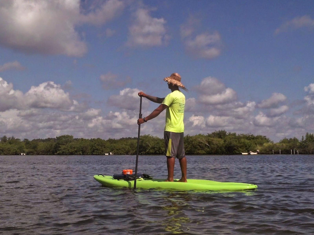 Island Time Kayaking Tours & Hire景点图片