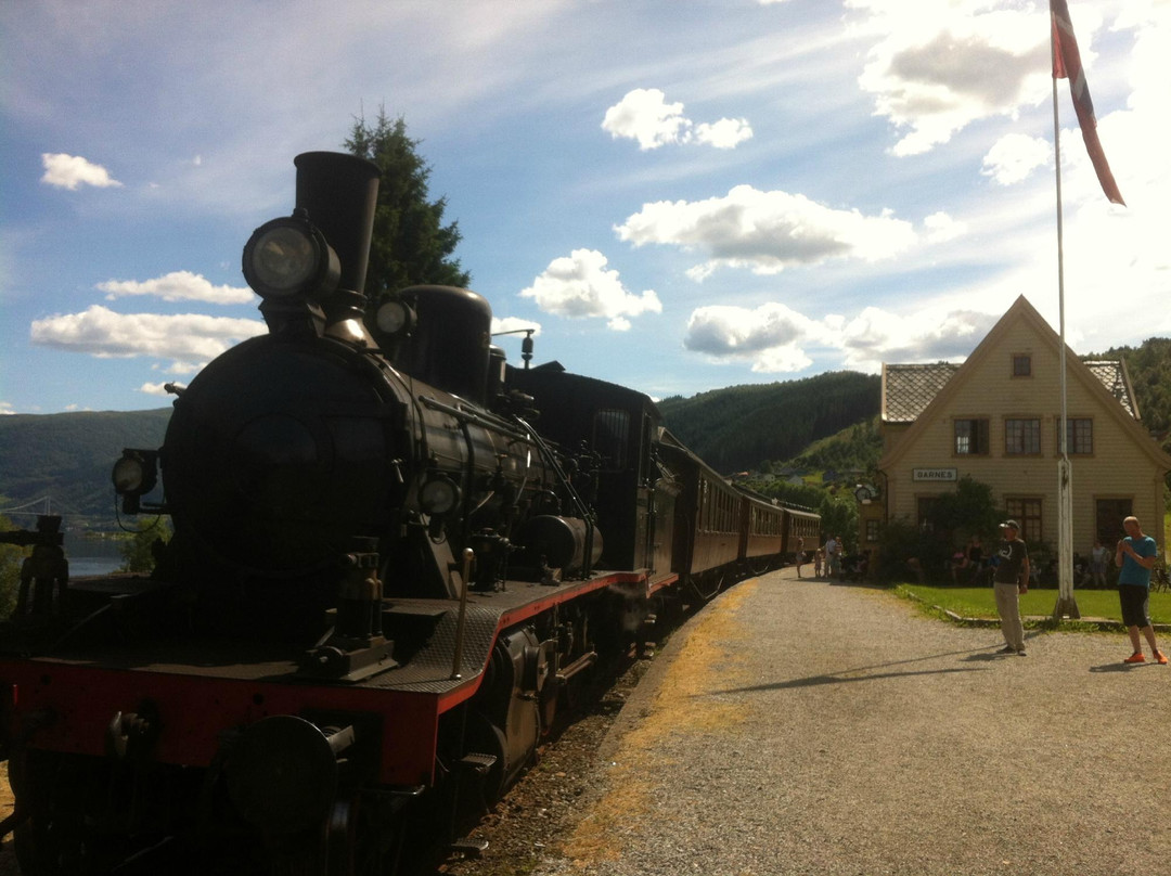 The Old Voss Steam Railway Museum景点图片