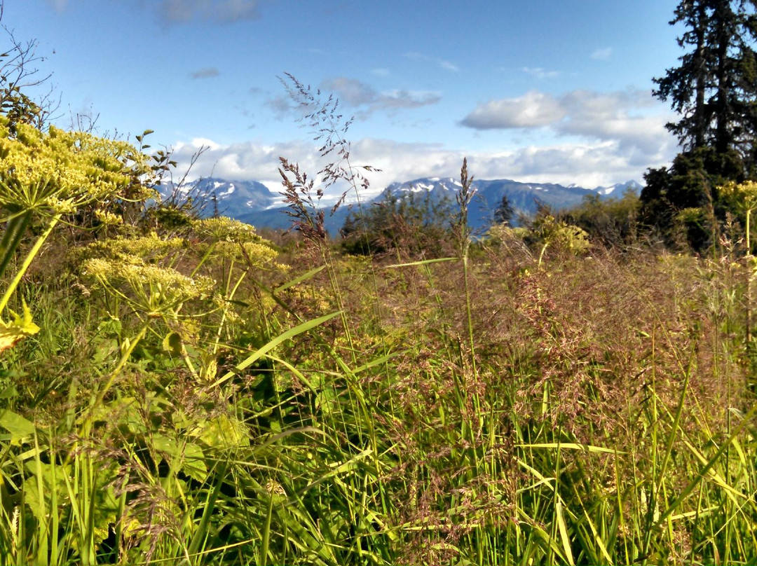 Eveline State Recreation Area-Fritz Creek必去景点
