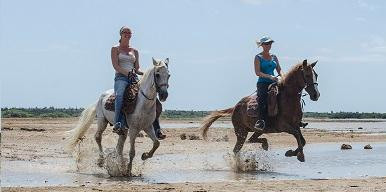Horse Ranch Bonaire-Kralendijk必去景点
