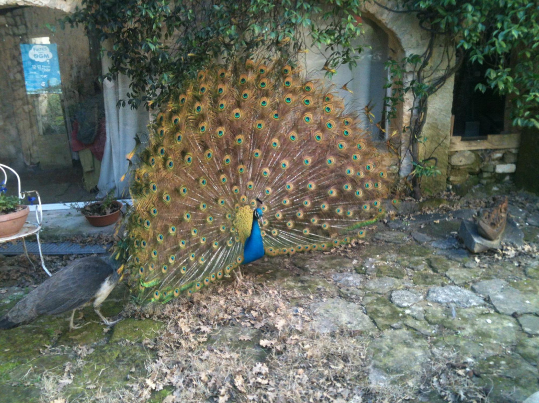 Ferme de l'Avellan