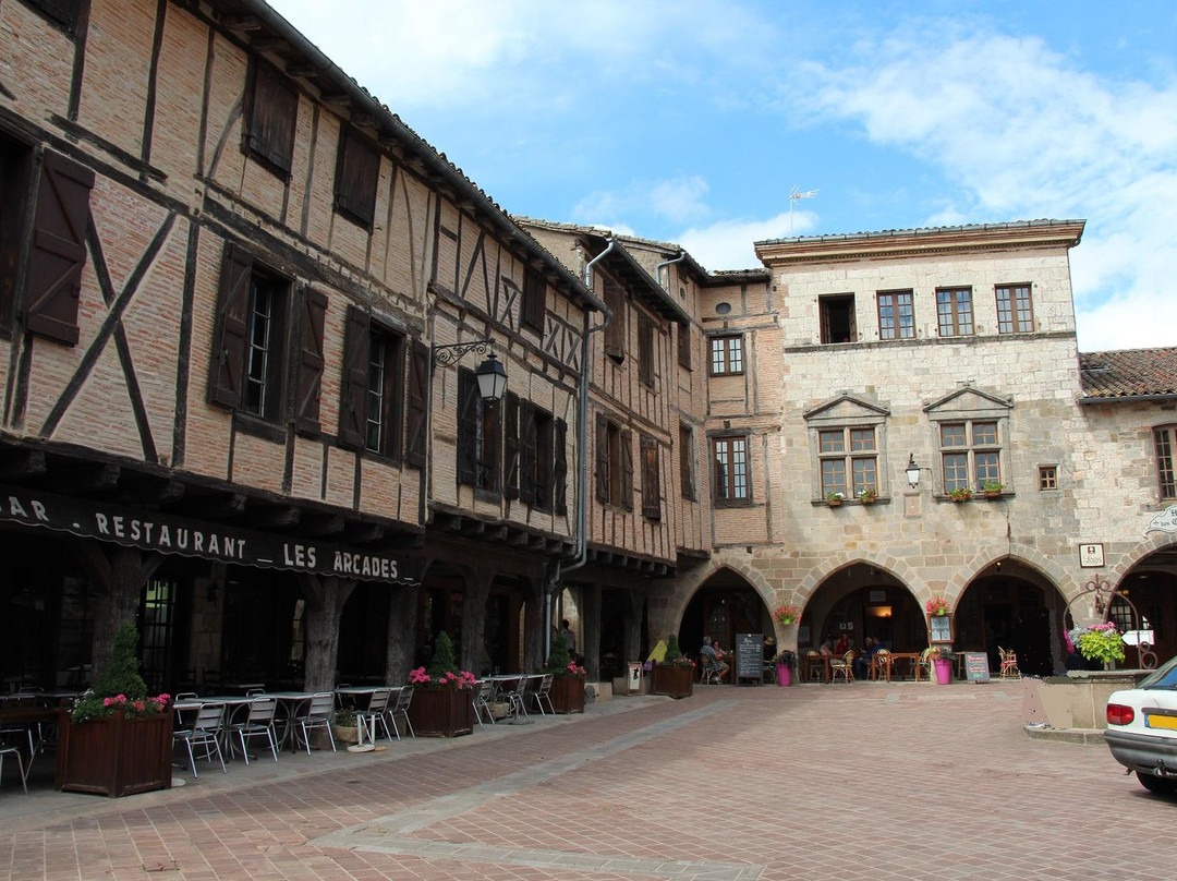 Castelnau-de-Montmiral景点图片
