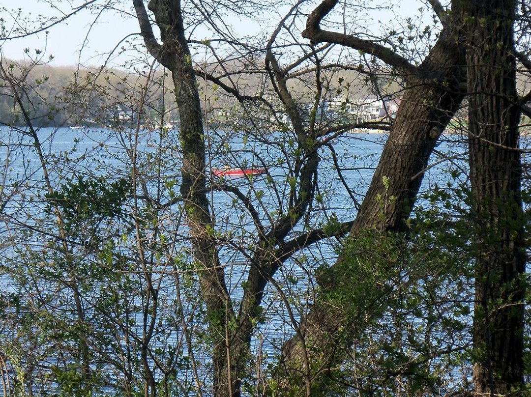 McIntosh Woods State Park-Ventura必去景点