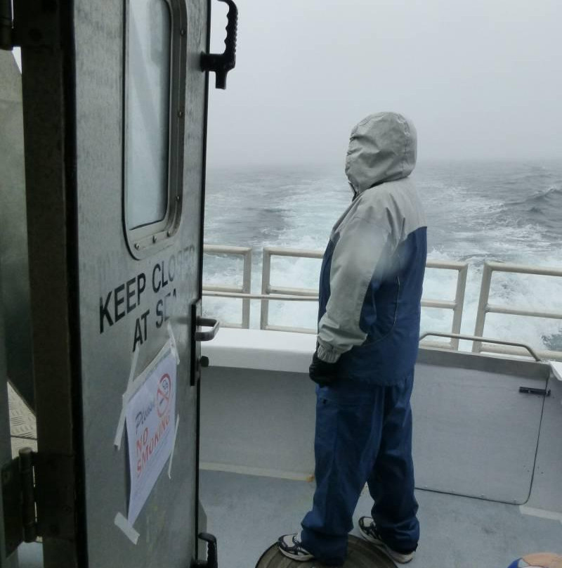 Welcome Aboard Whale Watching Tours-Westport必去景点