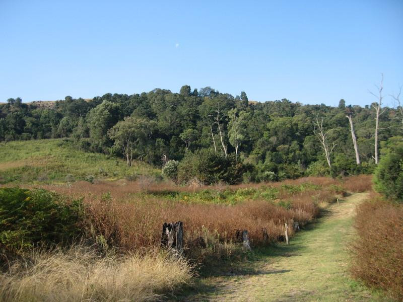 Marutswa Forest Trail and Boardwalk景点图片