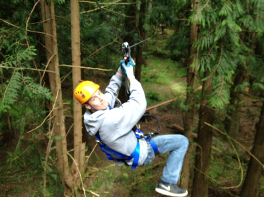 Treehouse Island Zipline Adventures-Silverlake必去景点
