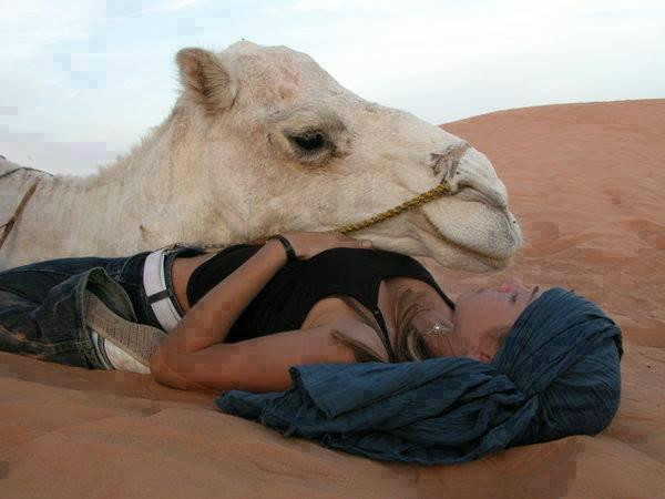 Over Moroccos Desert Tours-非斯必去景点