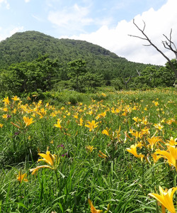 Numappara Marshland景点门票图片