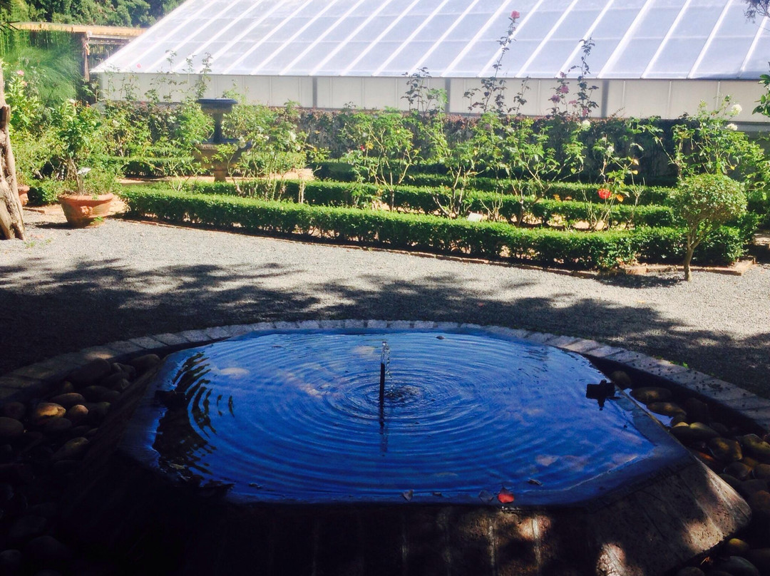 Stellenbosch University Botanical Garden-斯泰伦博斯必去景点