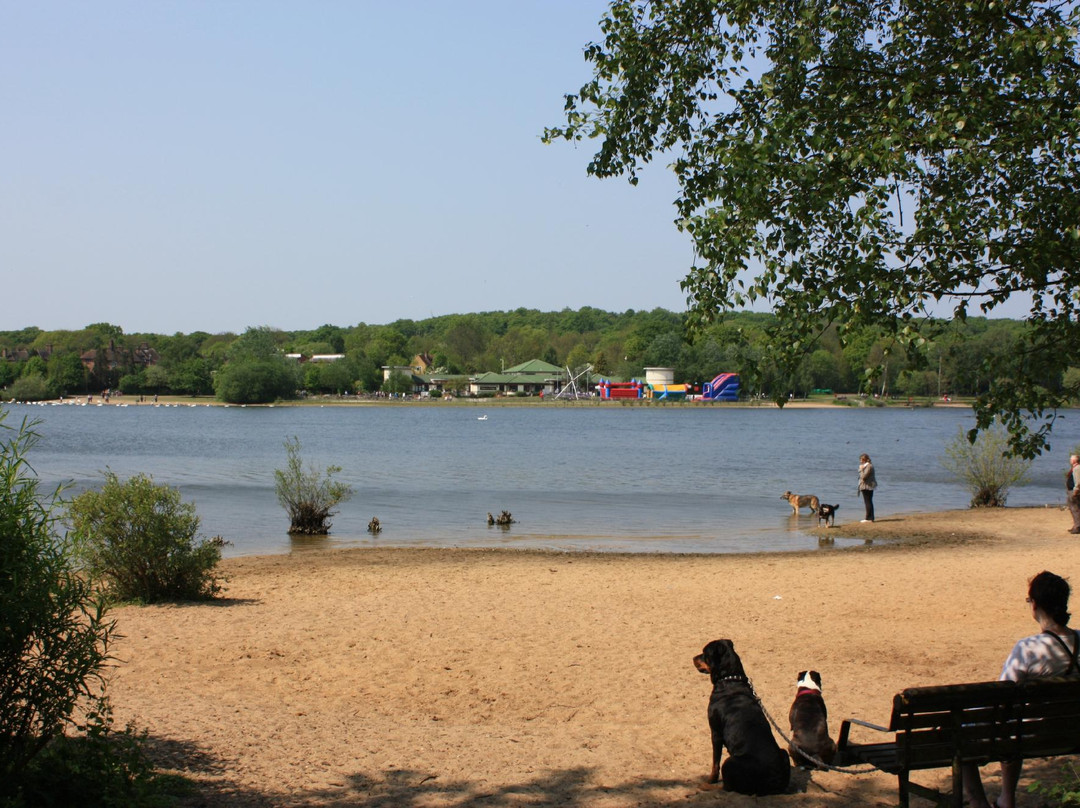 Ruislip Lido Railway景点图片