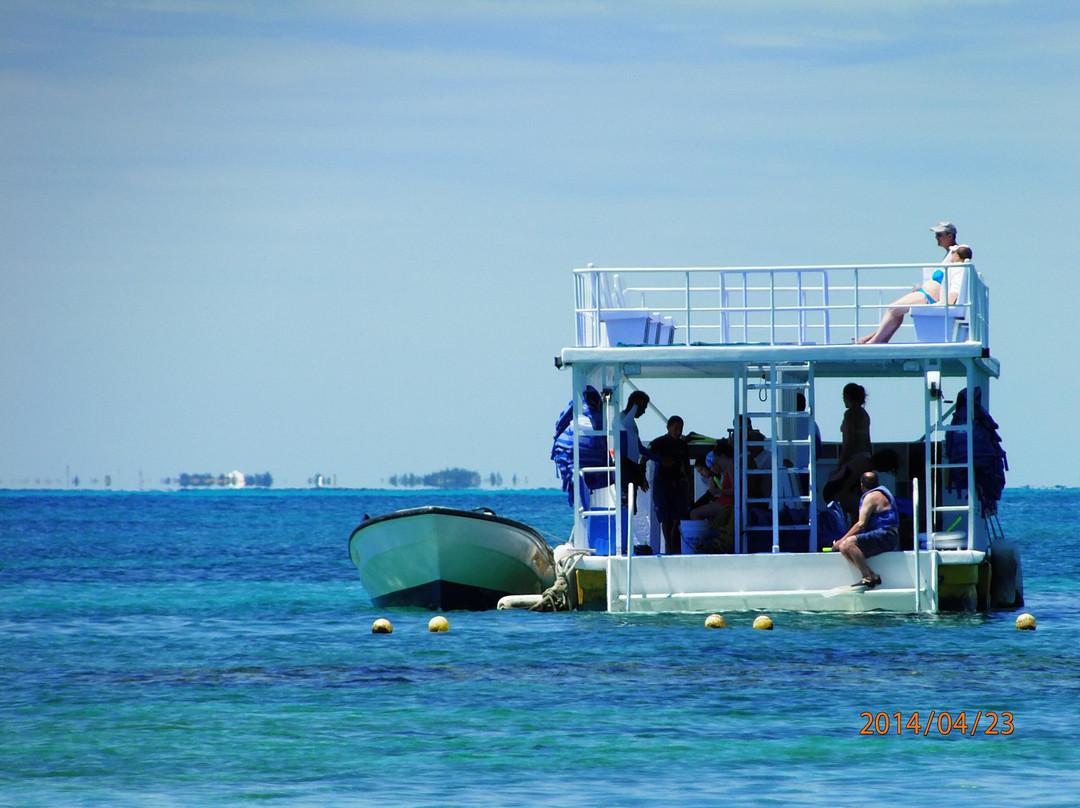 海豚发现秀-坎昆必去景点