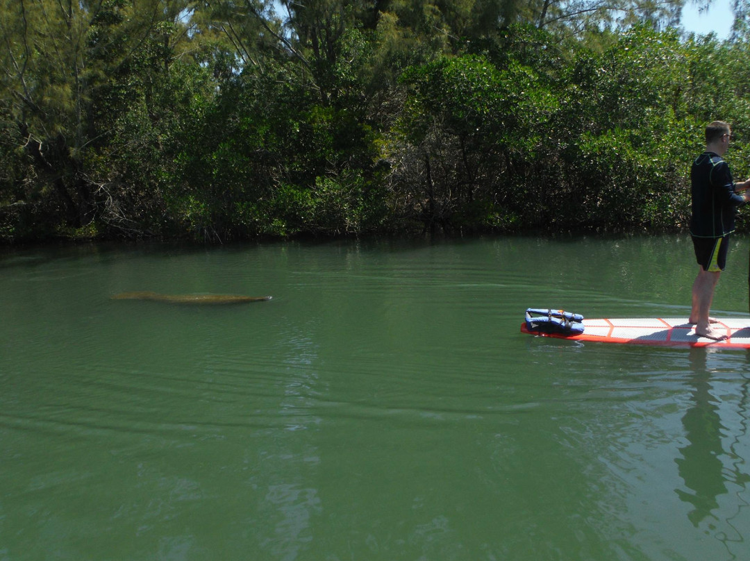 SUP Eco Adventures景点图片