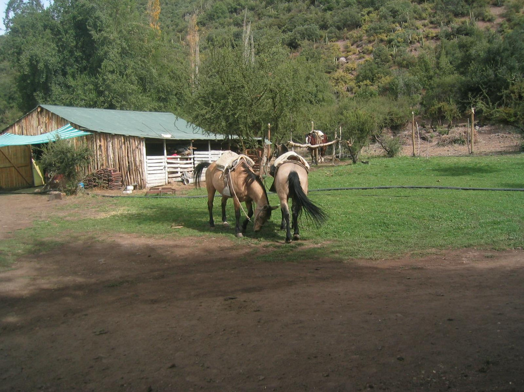 Horse Riding Chile-圣地亚哥必去景点