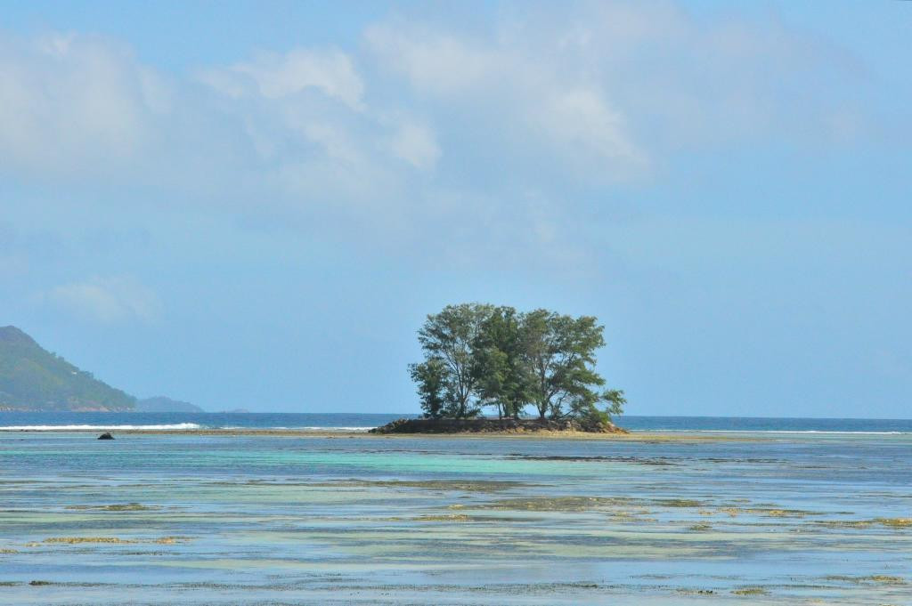 Anse La Reunion Beach景点图片