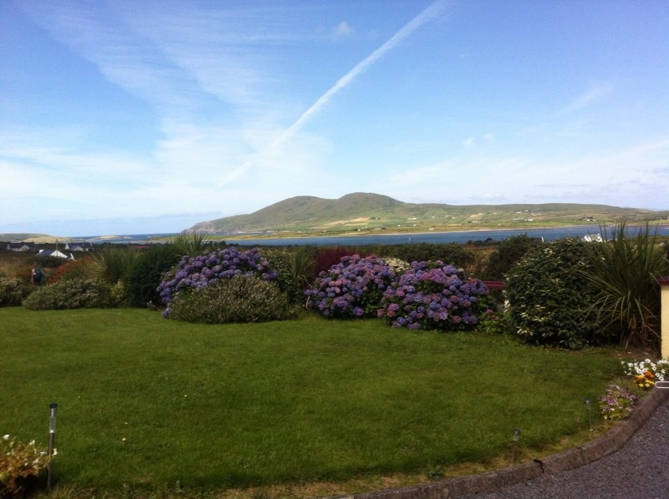 Ocean View B&B主图