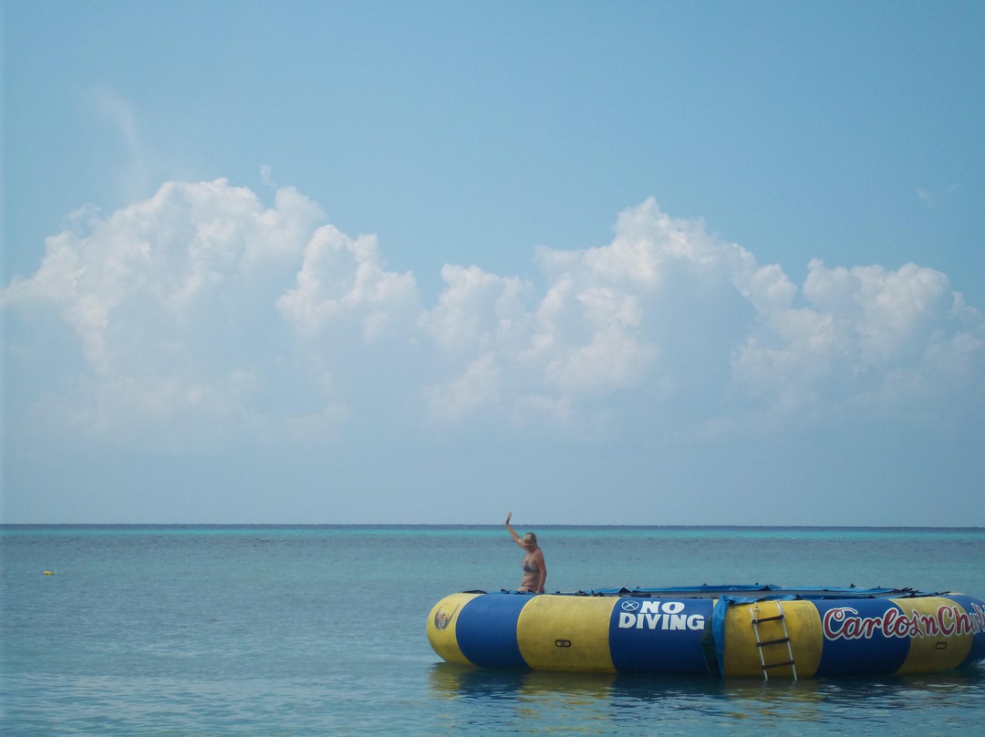 San Francisco Reef-考祖梅必去景点