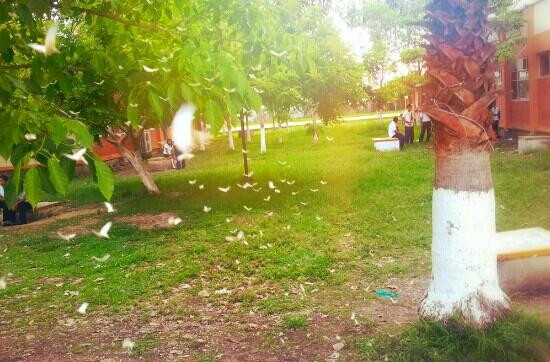 Hotel La Media Luna Inn主图