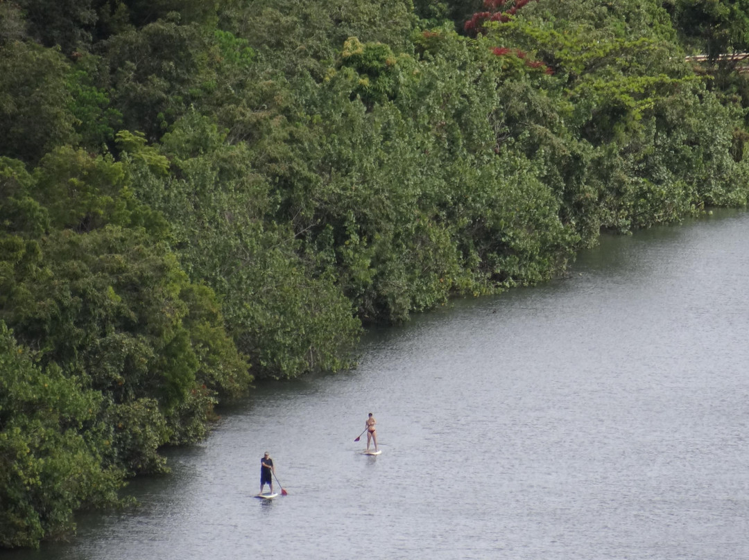 威鲁亚河州立公园-Wailua必去景点