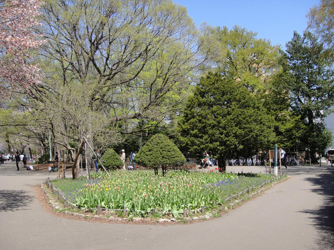 圆山公园-札幌市必去景点
