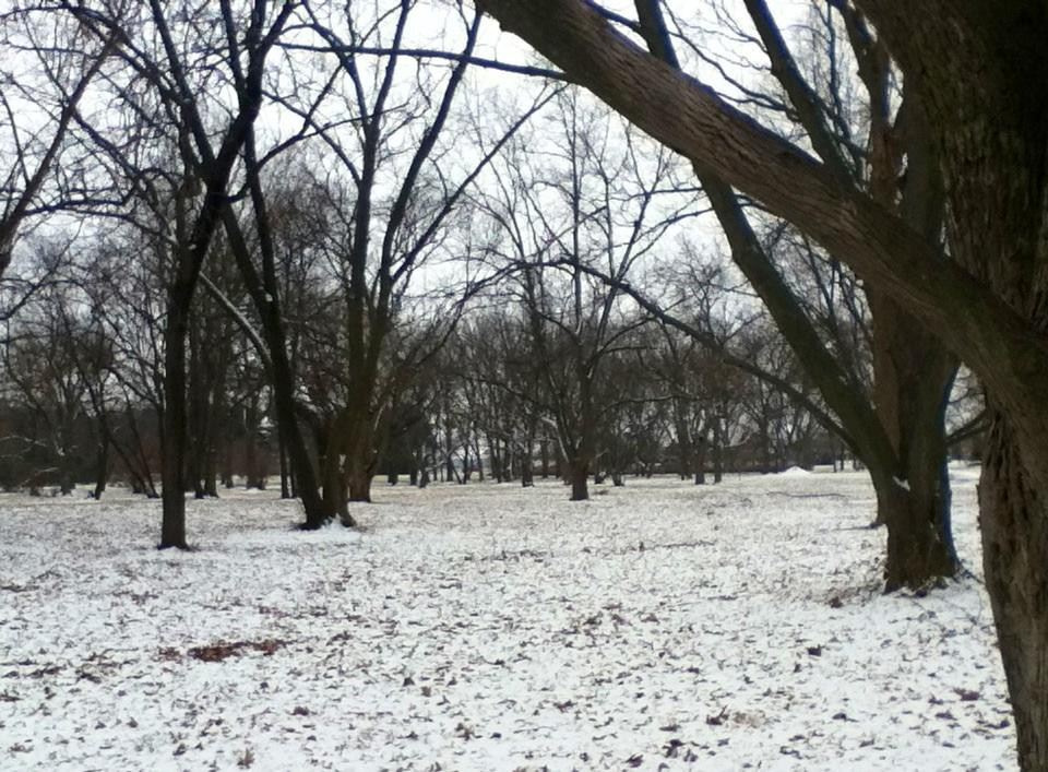 University of Illinois Arboretum-厄巴纳必去景点