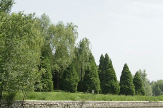 朝阳公园-北京市必去景点