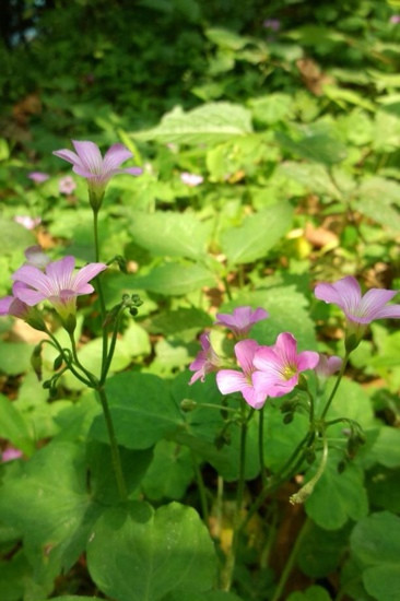 福州金牛山公园-福州市必去景点