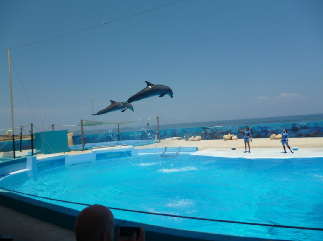 Mediterraneo Marine Park-Bahar ic-Caghaq必去景点