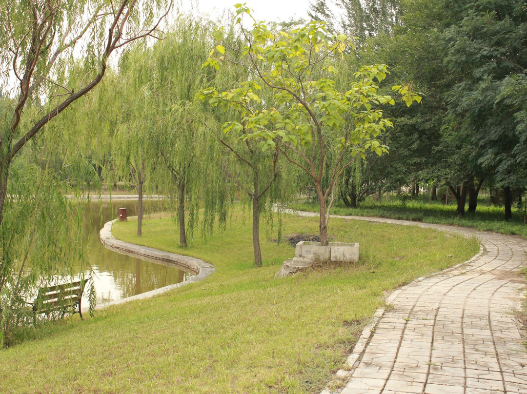 银川植物园-银川市必去景点
