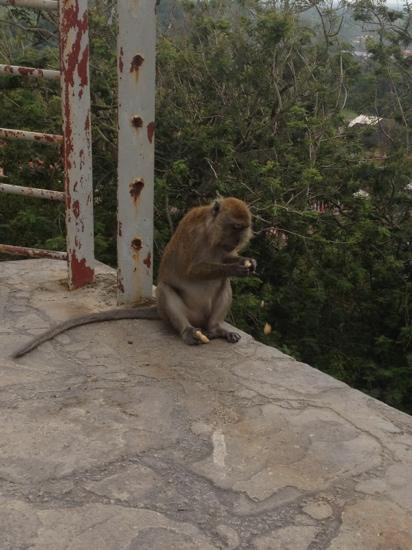 Altingsburg Lighthouse-瓜拉雪兰莪必去景点