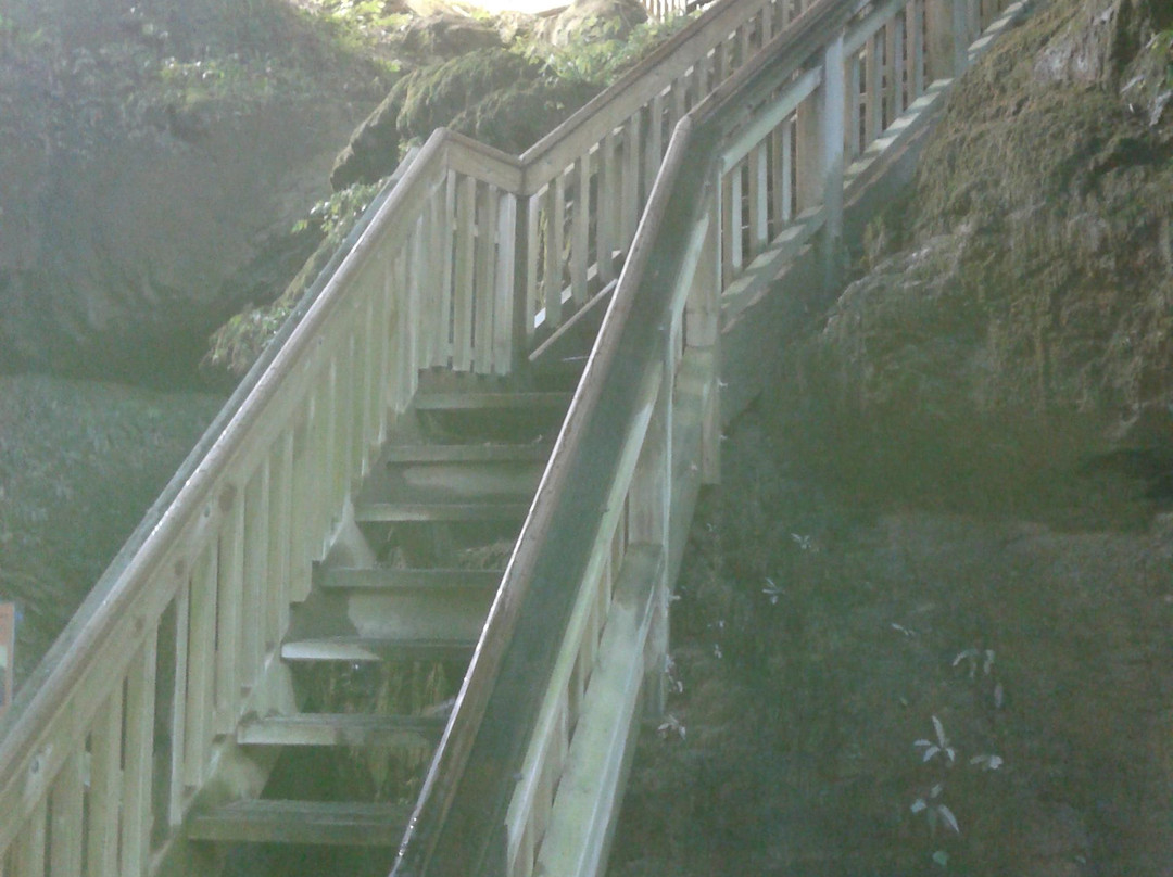 Mangapohue Natural Bridge Walk-怀托摩洞穴必去景点