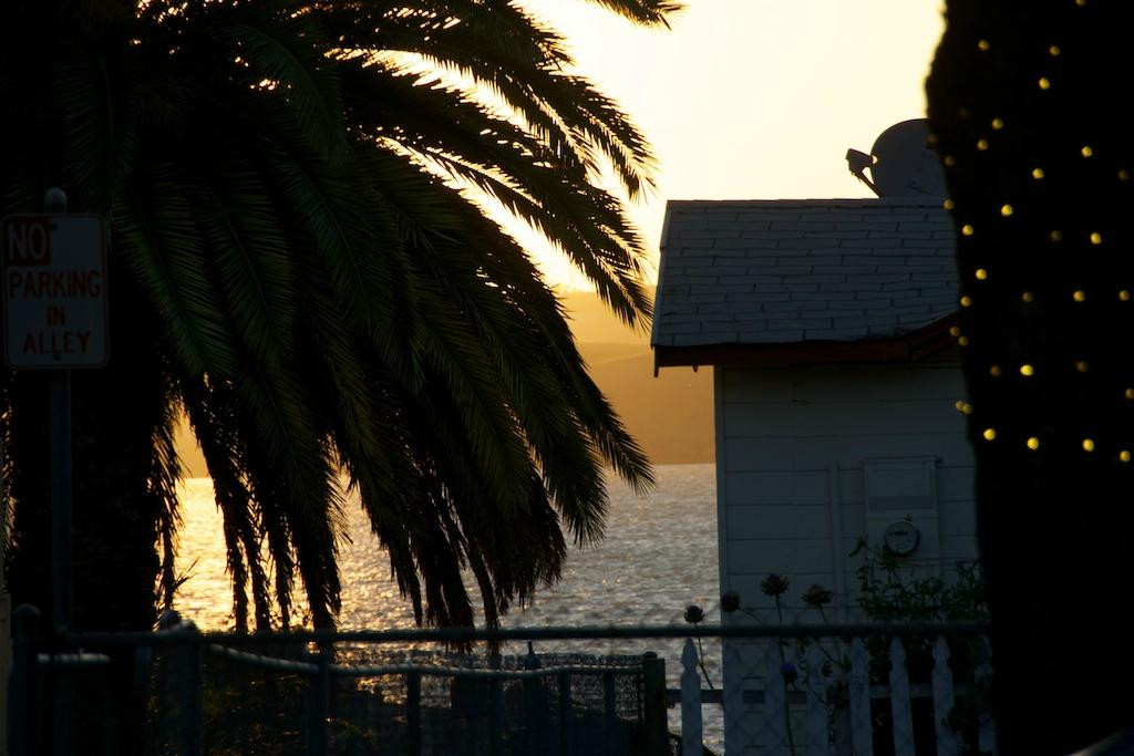 Benicia Certified Farmers Market-贝尼西亚必去景点