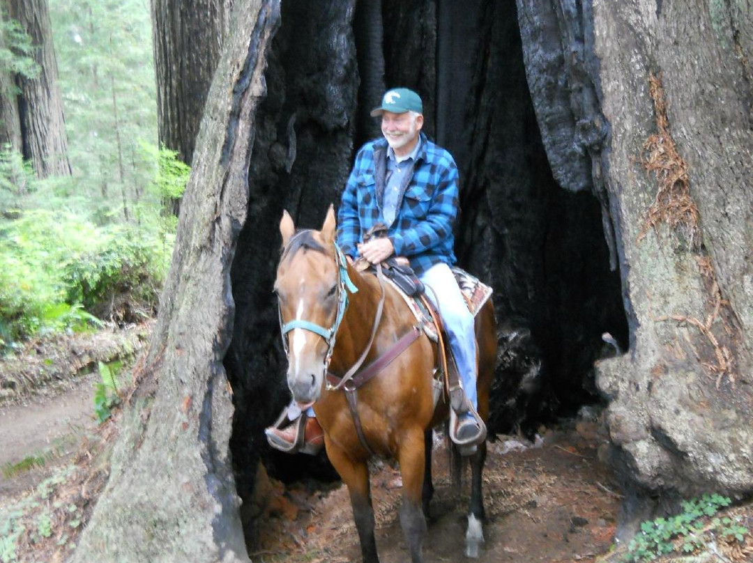 Redwood Creek Buckarettes-Orick必去景点