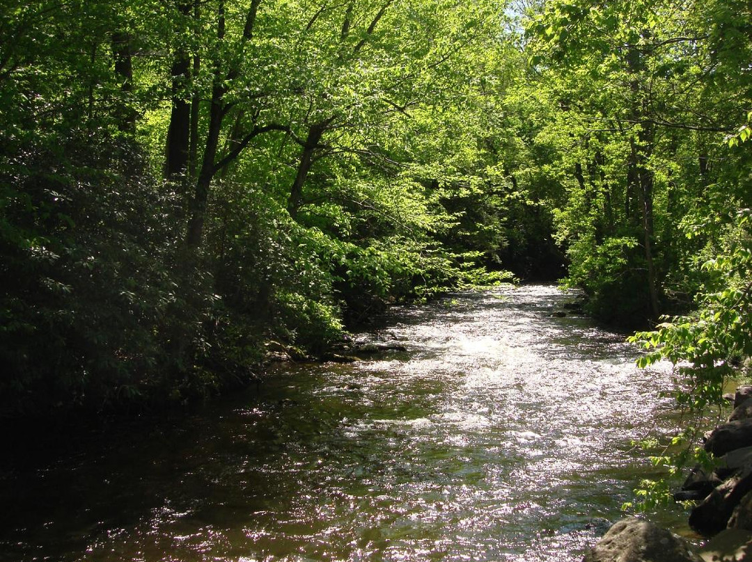 Kobys Creekside Grill