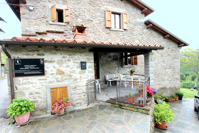 Agriturismo Casa Pallino
