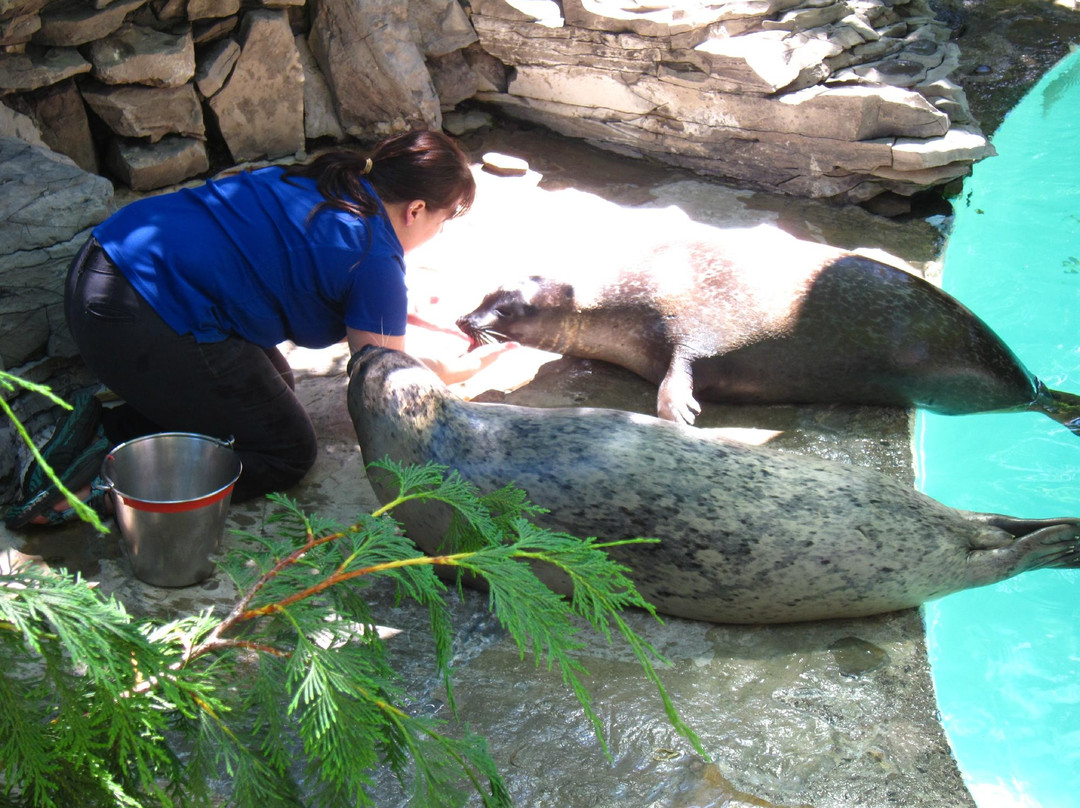 尼亚加拉水族馆-尼亚加拉大瀑布必去景点