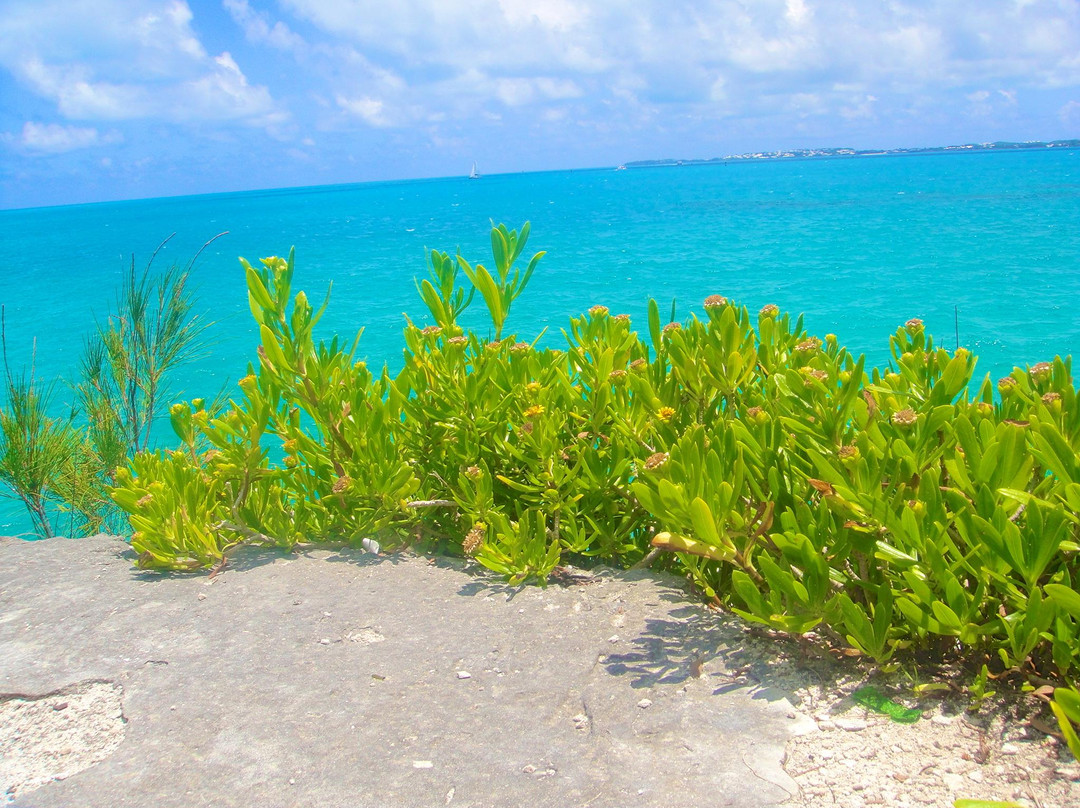 Admiralty House Park-汉密尔顿必去景点