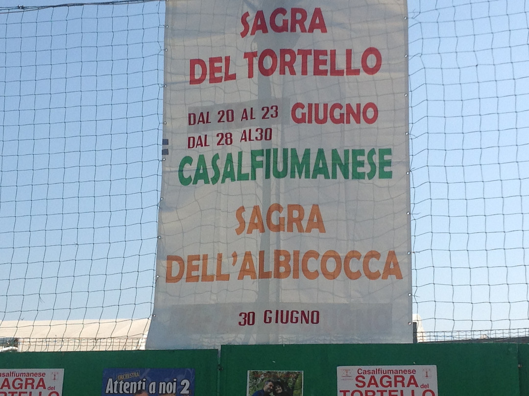Sagra Del Tortello E Della Albicocca景点图片