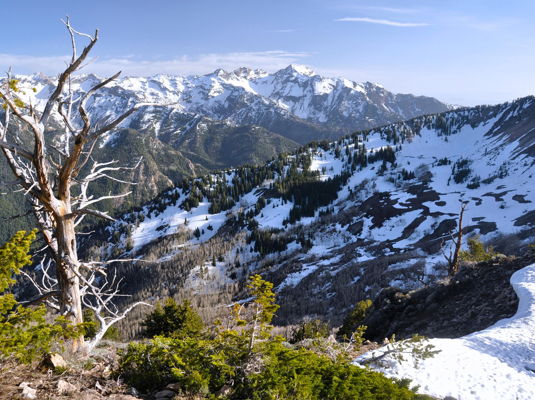 大三叶杨峡谷-盐湖城必去景点