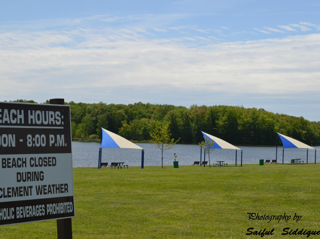 Bluebell Beach-弗林特必去景点