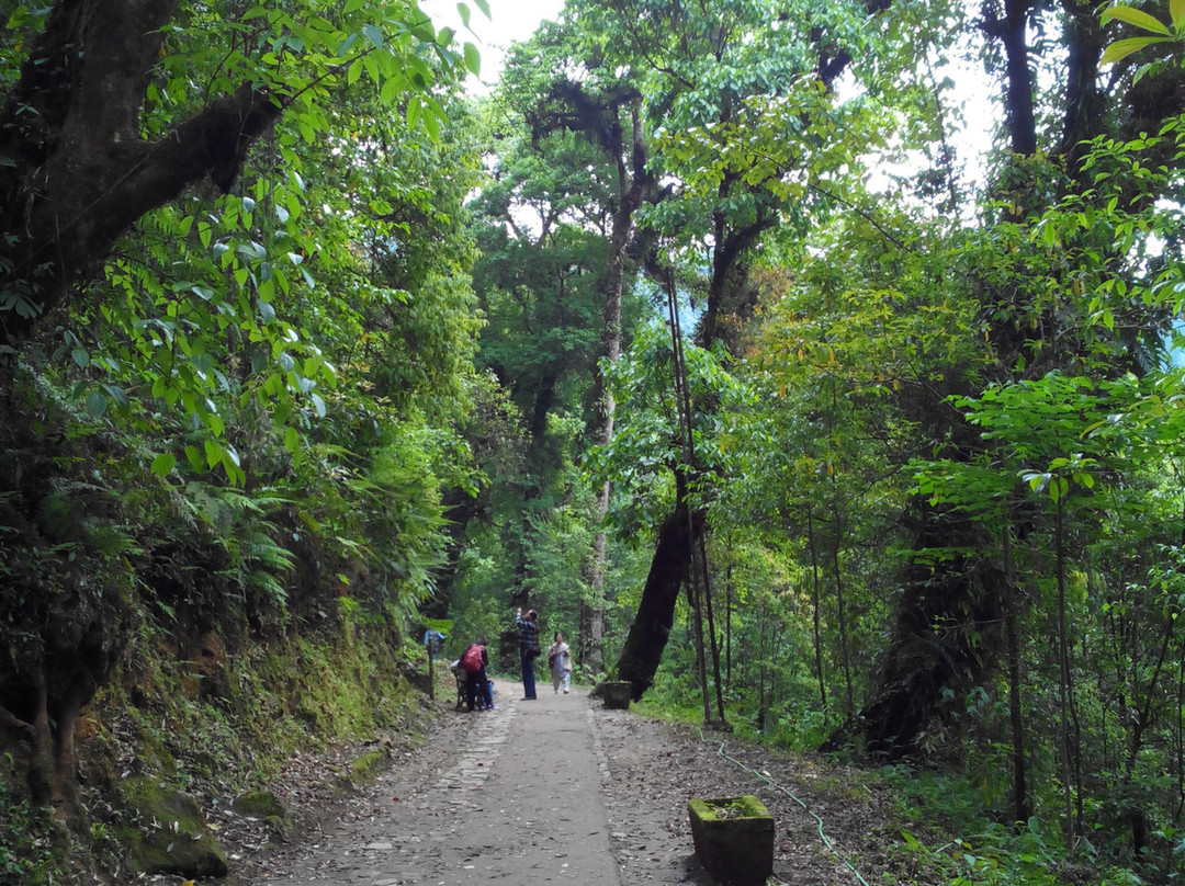 Khecheopalri Lake-Pelling必去景点