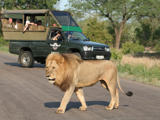 Vula Safaris