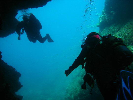 Diving Porto Conte-阿尔盖罗必去景点