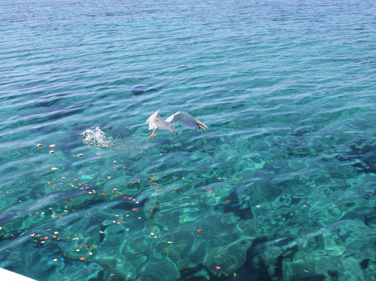 Nautilos Cruises-Ierapetra必去景点